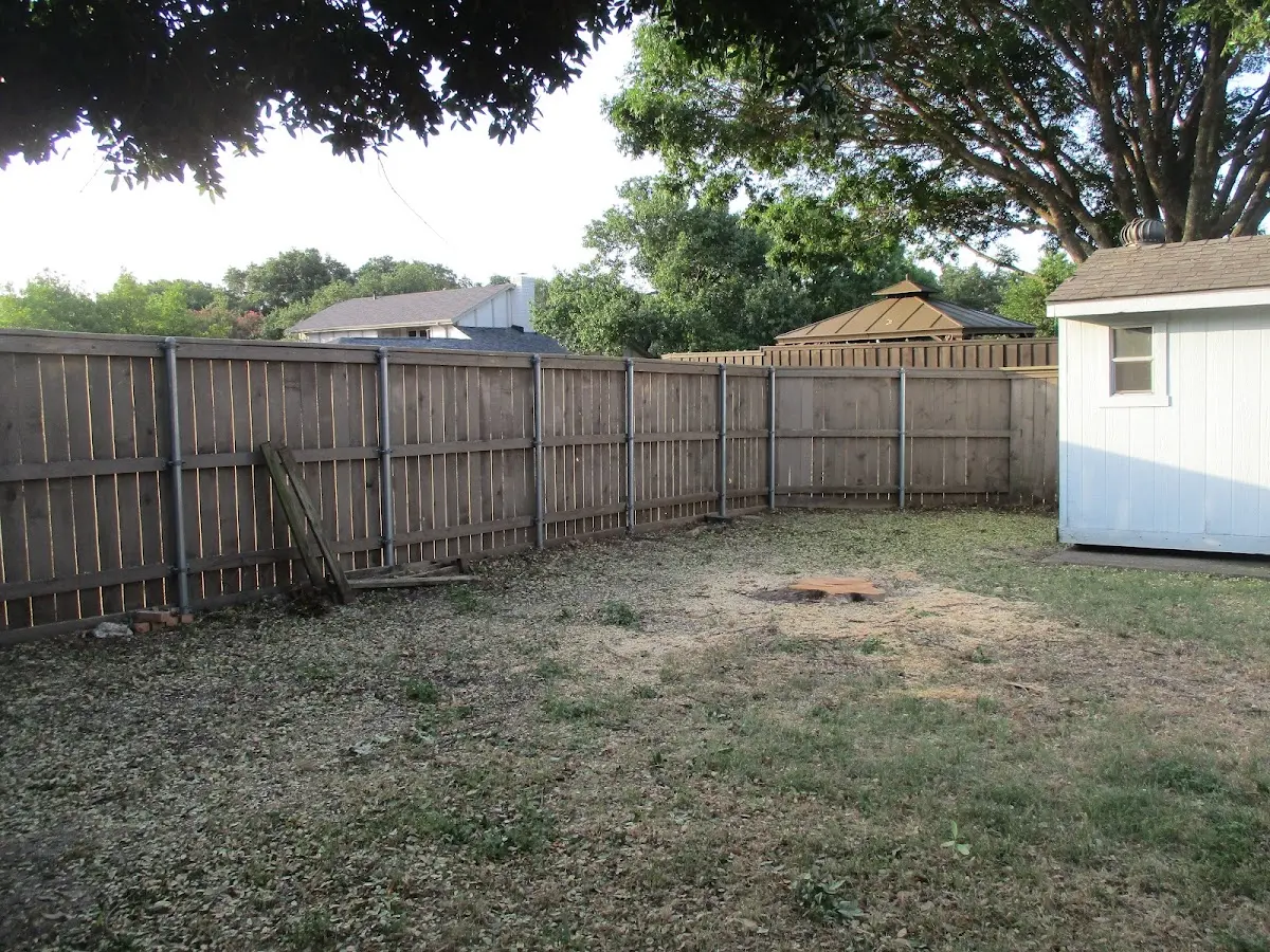 Cleared yard after professional tree removal in Laramie