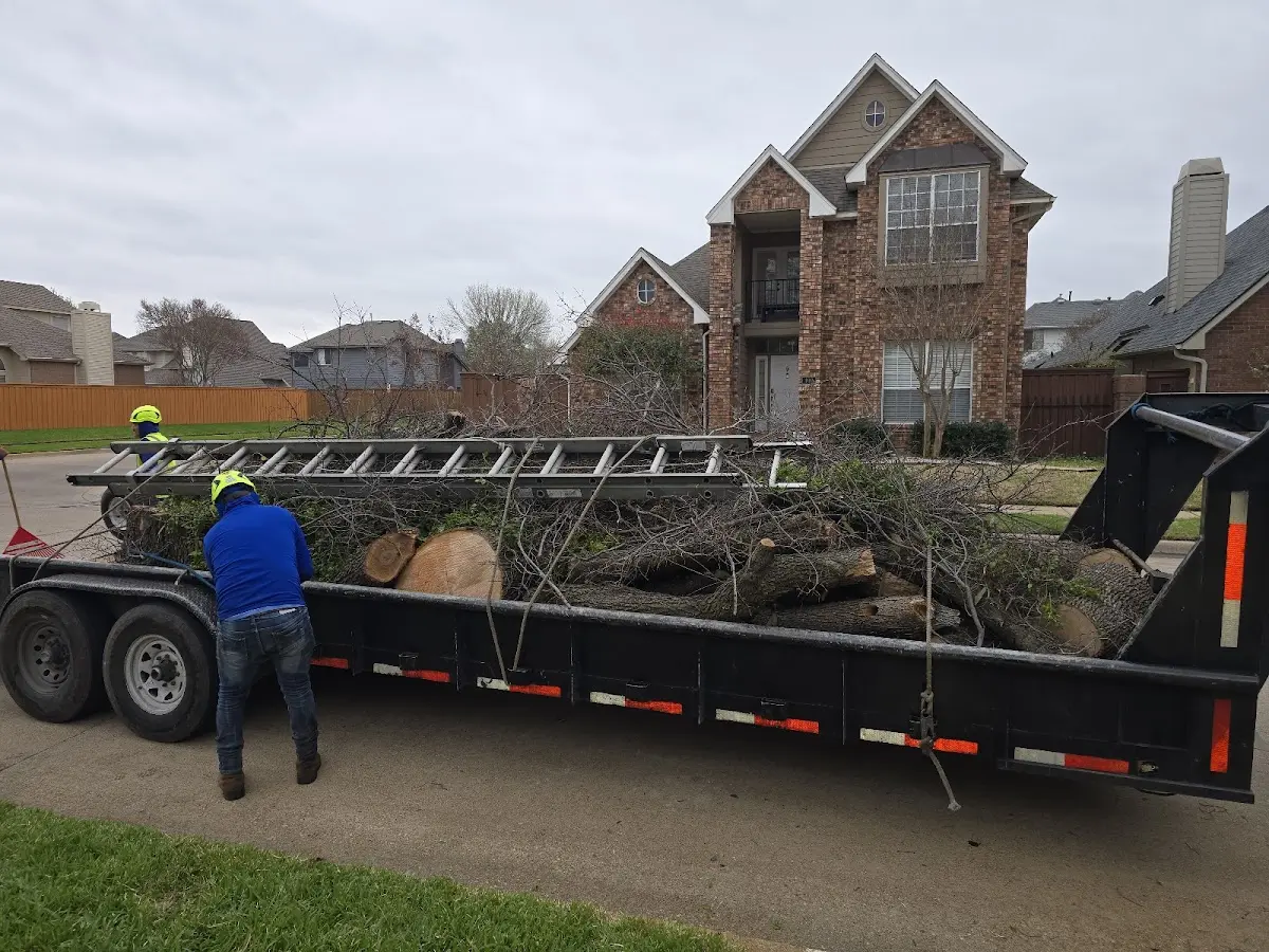 Expert Tree Fertilization with proper safety equipment in Laramie